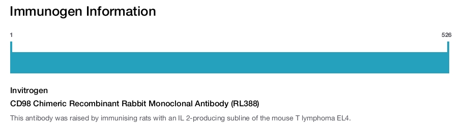 CD98 Chimeric Recombinant Rabbit Monoclonal Antibody (RL388)