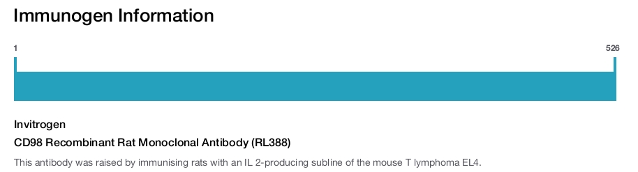 CD98 Recombinant Rat Monoclonal Antibody (RL388)