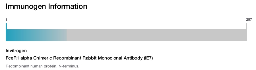 FceR1 alpha Chimeric Recombinant Rabbit Monoclonal Antibody (IE7)