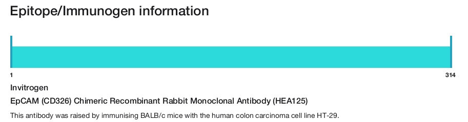 EpCAM (CD326) Chimeric Recombinant Rabbit Monoclonal Antibody (HEA125)