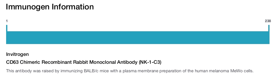 CD63 Chimeric Recombinant Rabbit Monoclonal Antibody (NK-1-C3)