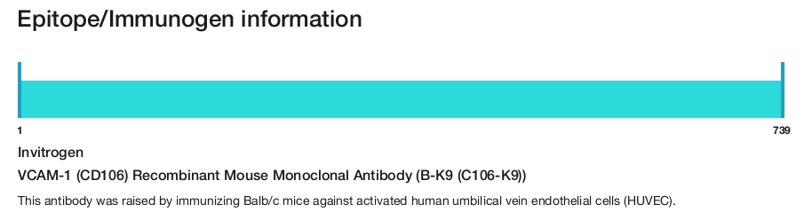 VCAM-1 (CD106) Recombinant Mouse Monoclonal Antibody (B-K9 (C106-K9))