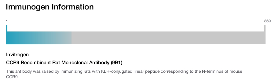 CCR9 Recombinant Rat Monoclonal Antibody (9B1)