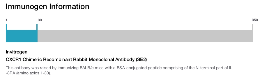 CXCR1 Chimeric Recombinant Rabbit Monoclonal Antibody (SE2)