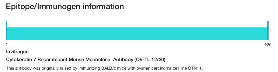 Cytokeratin 7 Recombinant Mouse Monoclonal Antibody (OV-TL 12/30)