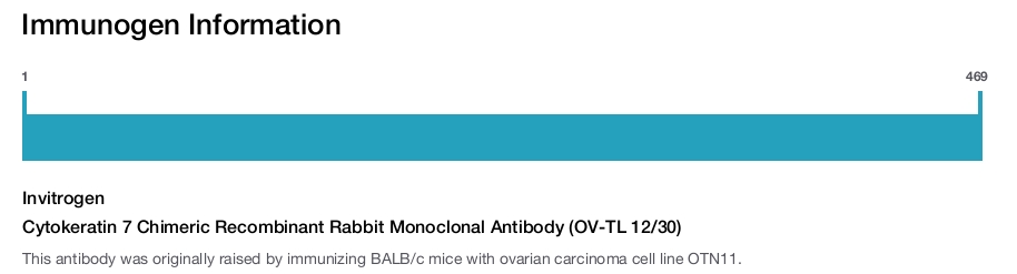 Cytokeratin 7 Chimeric Recombinant Rabbit Monoclonal Antibody (OV-TL 12/30)