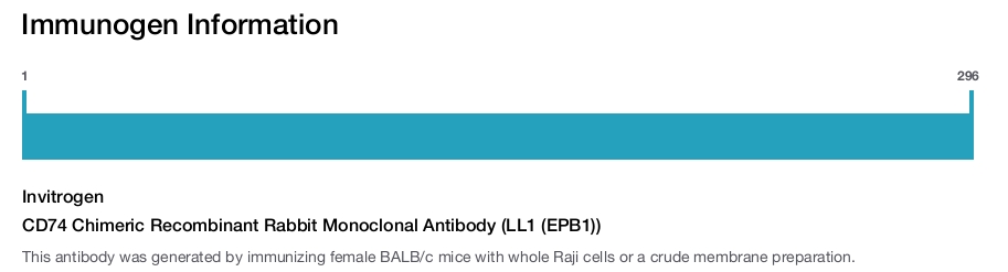 CD74 Chimeric Recombinant Rabbit Monoclonal Antibody (LL1 (EPB1))