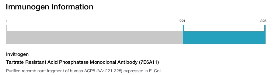 Tartrate Resistant Acid Phosphatase Monoclonal Antibody (7E6A11)