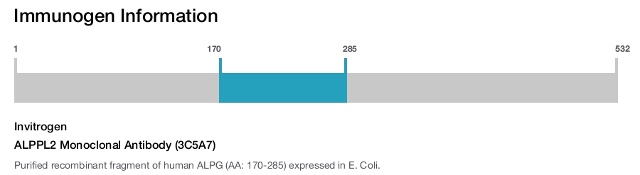 ALPPL2 Monoclonal Antibody (3C5A7)