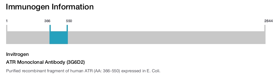 ATR Monoclonal Antibody (3G6D2)