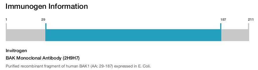 BAK Monoclonal Antibody (2H9H7)