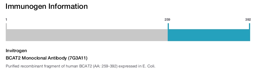 BCAT2 Monoclonal Antibody (7G3A11)