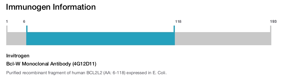 Bcl-W Monoclonal Antibody (4G12D11)