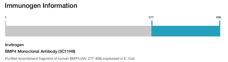 BMP4 Monoclonal Antibody (3C11H8)