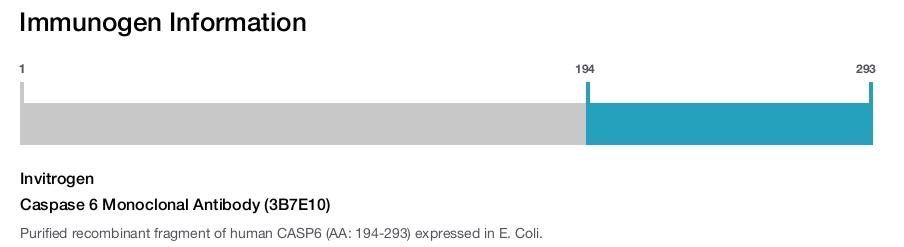 Caspase 6 Monoclonal Antibody (3B7E10)