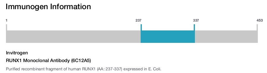 RUNX1 Monoclonal Antibody (6C12A5)