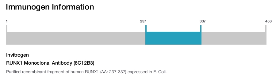 RUNX1 Monoclonal Antibody (6C12B3)