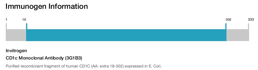 CD1c Monoclonal Antibody (3G1B3)