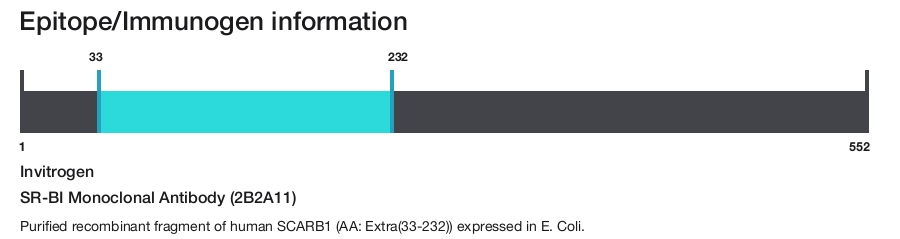 SR-BI Monoclonal Antibody (2B2A11)