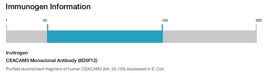 CEACAM3 Monoclonal Antibody (8D5F12)