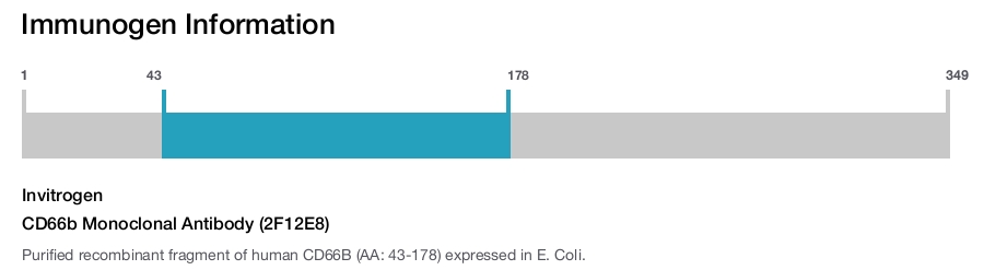 CD66b Monoclonal Antibody (2F12E8)