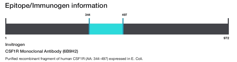 CSF1R Monoclonal Antibody (6B9H2)