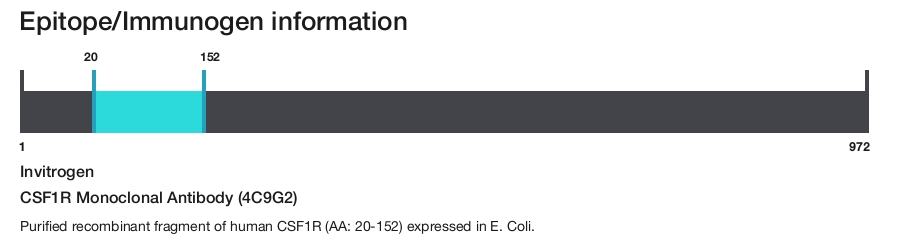 CSF1R Monoclonal Antibody (4C9G2)