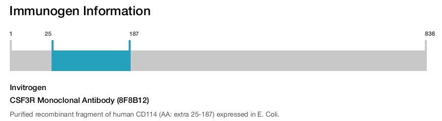 CSF3R Monoclonal Antibody (8F8B12)