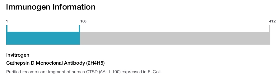Cathepsin D Monoclonal Antibody (2H4H5)