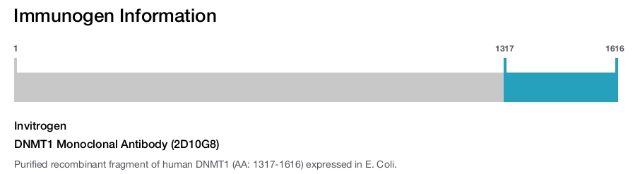 DNMT1 Monoclonal Antibody (2D10G8)