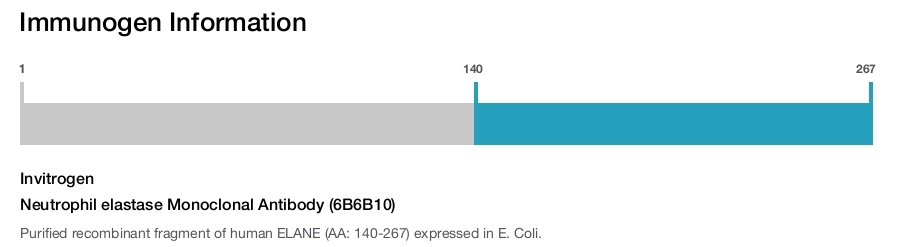 Neutrophil elastase Monoclonal Antibody (6B6B10)