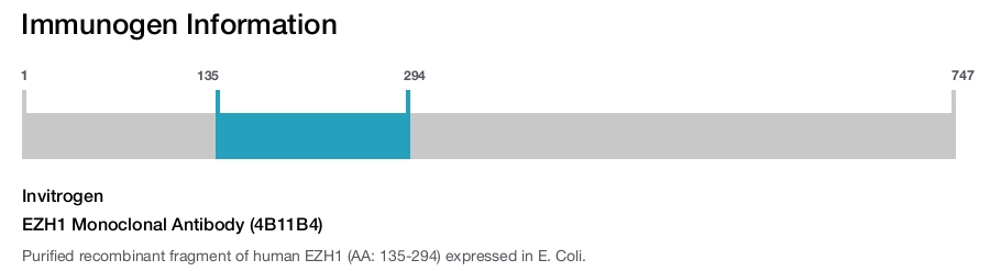 EZH1 Monoclonal Antibody (4B11B4)