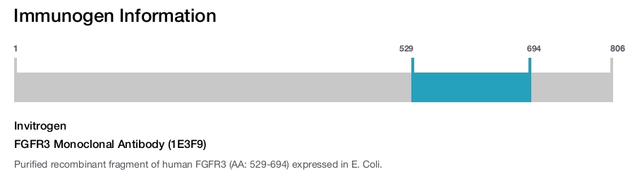 FGFR3 Monoclonal Antibody (1E3F9)
