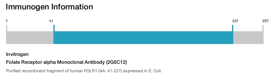 Folate Receptor alpha Monoclonal Antibody (2G5C12)
