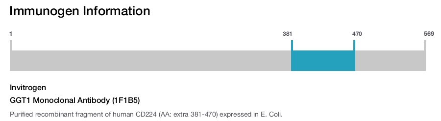 GGT1 Monoclonal Antibody (1F1B5)