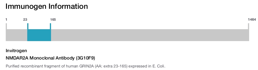 NMDAR2A Monoclonal Antibody (3G10F9)