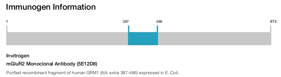 mGluR2 Monoclonal Antibody (5E12D8)