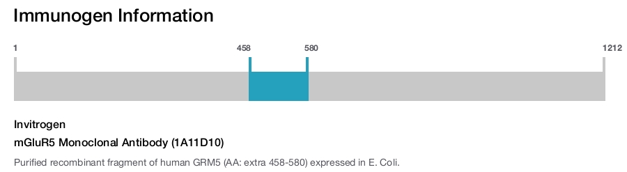 mGluR5 Monoclonal Antibody (1A11D10)
