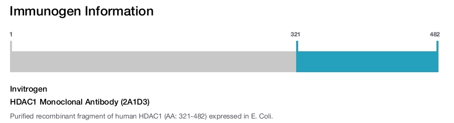 HDAC1 Monoclonal Antibody (2A1D3)