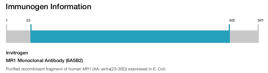 MR1 Monoclonal Antibody (6A5B2)