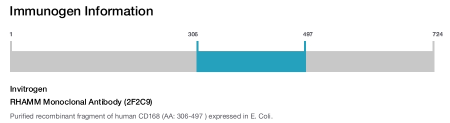 RHAMM Monoclonal Antibody (2F2C9)