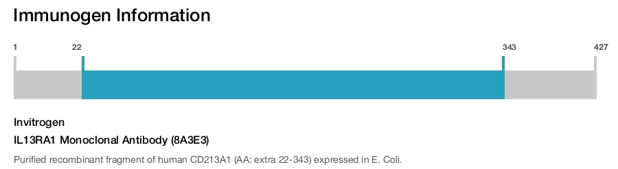 IL13RA1 Monoclonal Antibody (8A3E3)