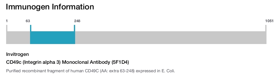 CD49c (Integrin alpha 3) Monoclonal Antibody (5F1D4)