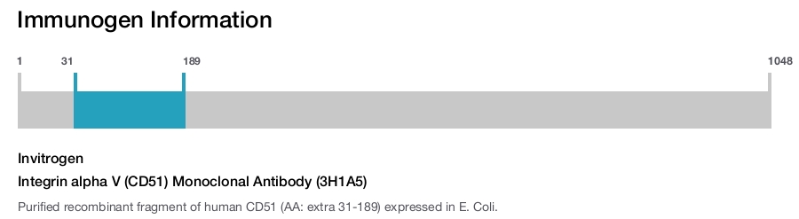 Integrin alpha V (CD51) Monoclonal Antibody (3H1A5)