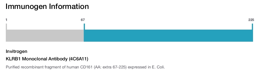 KLRB1 Monoclonal Antibody (4C6A11)