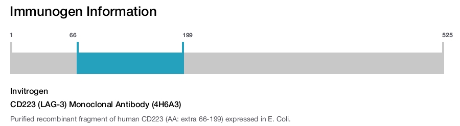 CD223 (LAG-3) Monoclonal Antibody (4H6A3)