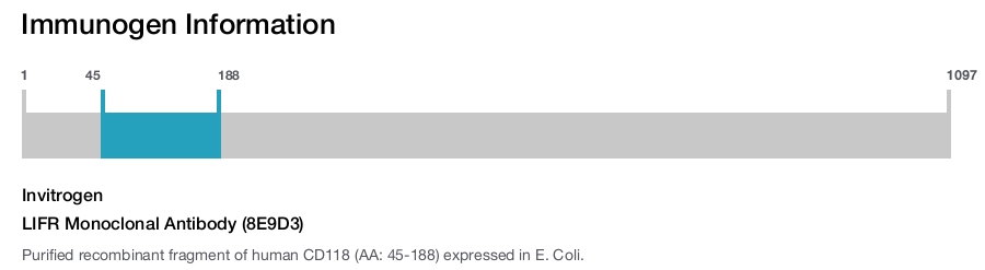 LIFR Monoclonal Antibody (8E9D3)