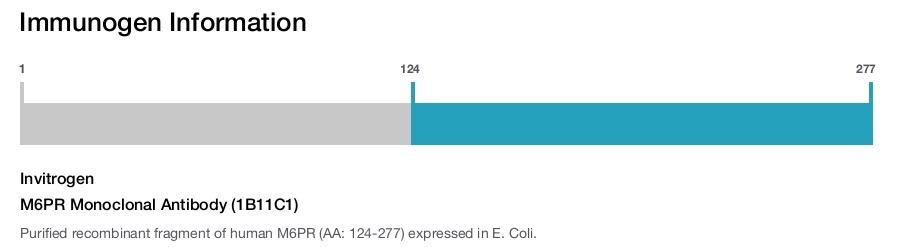 M6PR Monoclonal Antibody (1B11C1)