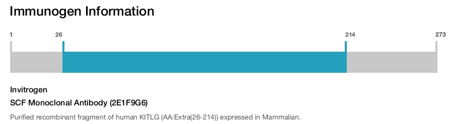 SCF Monoclonal Antibody (2E1F9G6)