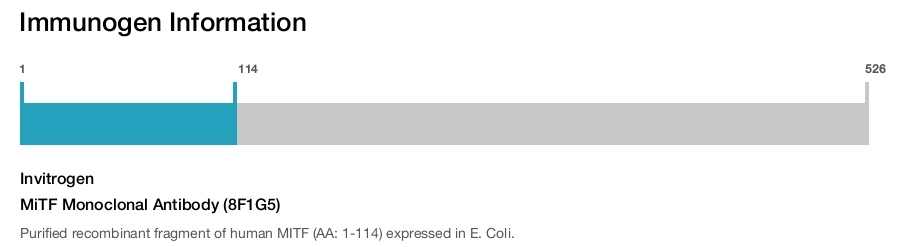 MiTF Monoclonal Antibody (8F1G5)